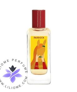 عطر ادکلن هرمس پادوک _ Hermes Paddock