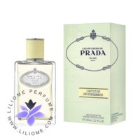 Prada Infusion de Gingembre