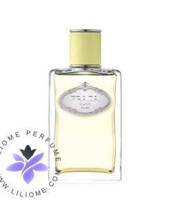Prada Infusion de Gingembre