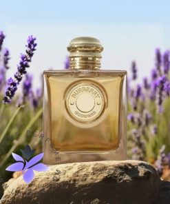 Burberry Goddess Intense 2024
