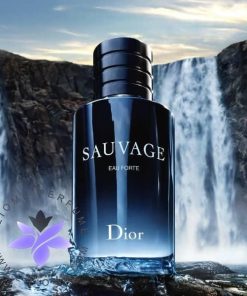 Dior Sauvage Eau Forte