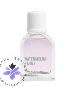Hollister Watermelon + Mint