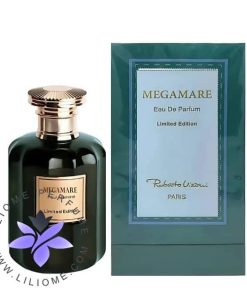 ROBERTO VIZZARI Megamare