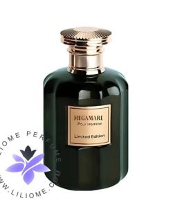 ROBERTO VIZZARI Megamare