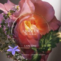 Lancome Absolue Hot As Rose