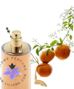 Zara Golden Decade Elixir Parfum