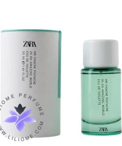 Zara Mr Chache Pistache In An Amazing World