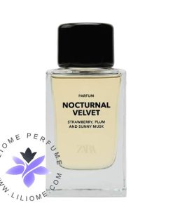 Zara Nocturnal Velvet