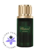 عطر ادکلن چوپارد سدار ملکی | Chopard Cedar Malaki