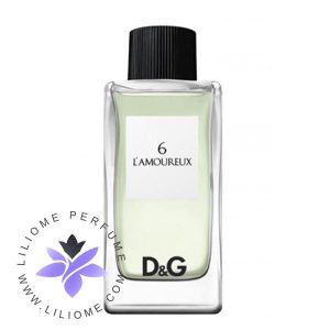 عطر ادکلن دلچه گابانا آنتولوژی لاموروکس 6-Dolce Gabbana D&G Anthology L`Amoureux 6