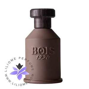 عطر ادکلن بویس ۱۹۲۰ ناگود-Bois 1920 Nagud