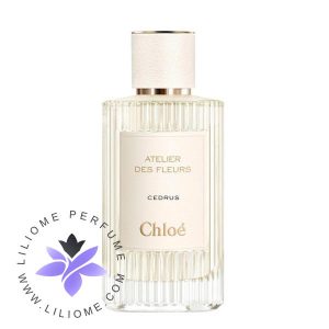 عطر ادکلن کلوهه سدروس-Chloe Cedrus