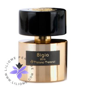 عطر ادکلن تیزیانا ترنزی بیجیا-Tiziana Terenzi Bigia