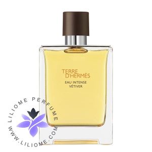 عطر ادکلن هرمس تق هرمس او اینتنس وتیور | Hermes Terre D'Hermes Eau Intense Vetiver