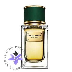 عطر ادکلن دلچه گابانا ولوت وتیور-Dolce Gabbana Velvet Vetiver