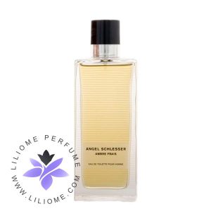 عطر ادکلن آنجل شلیسر آمبر فریس مردانه-Angel Schlesser Ambre Frais Homme