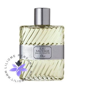 عطر ادکلن دیور او ساواج ادو تویلت-Dior Eau Sauvage